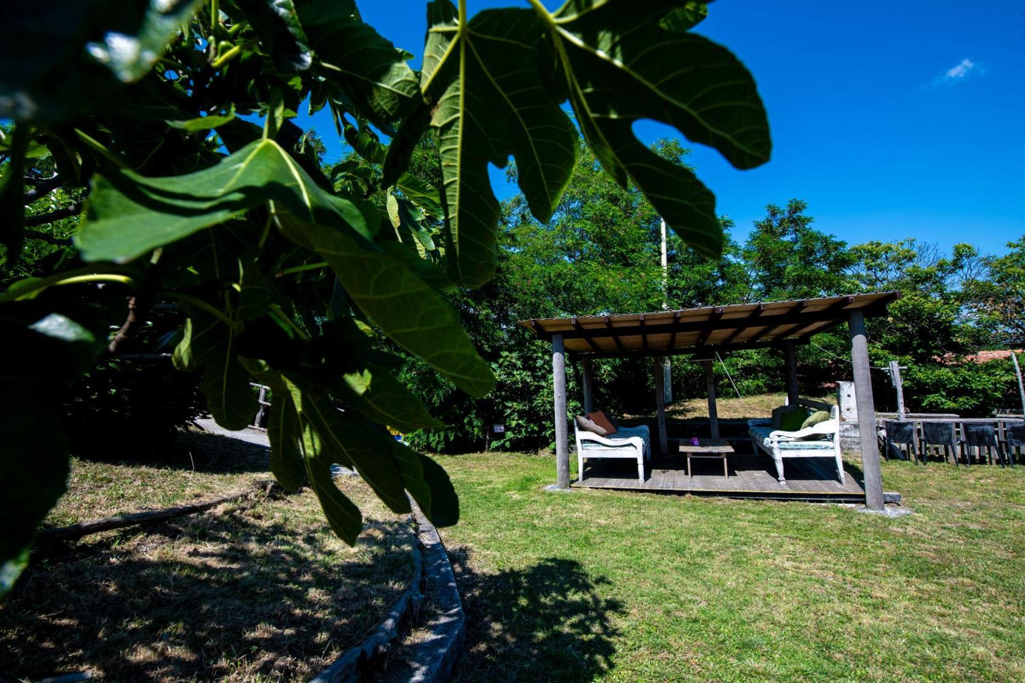 211 - Appartamento Acacia, Terrazza Giardino E Piscina Carro Екстер'єр фото